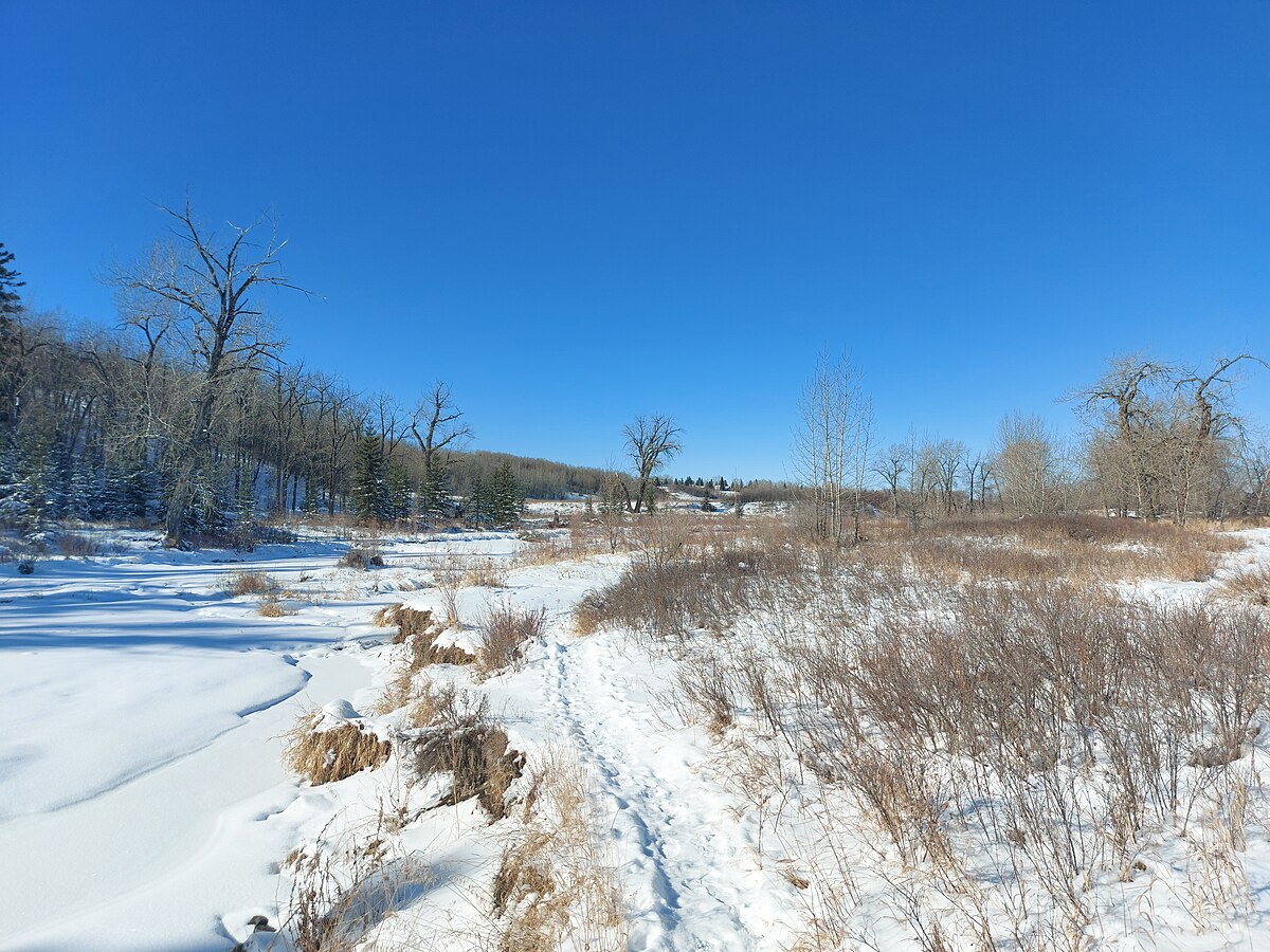 Fish Creek Provincial Park Calgary in winter with snow-covered trails and frost-laden trees