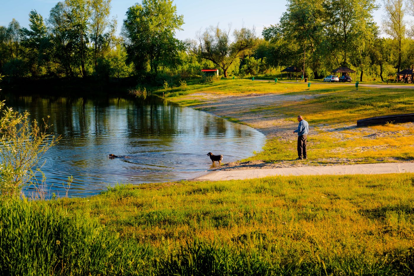 Fenced Dog Parks in Calgary off-leash dog park Calgary