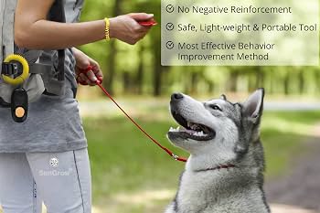 Dog Training Supplies