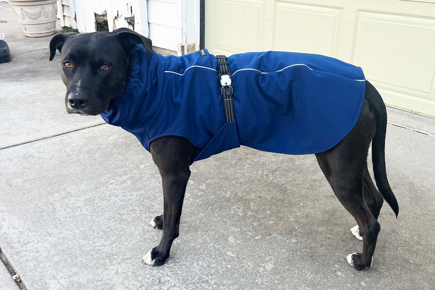 Winter Gear, Boots & Jackets